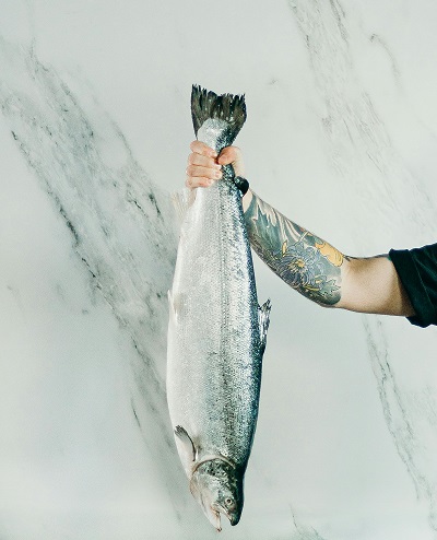 Fish Food Recipe